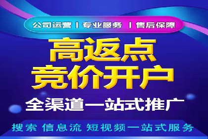 搜索引擎营销（SEM）的广告创意与落地页设计——以某成功创业公司的实践为例